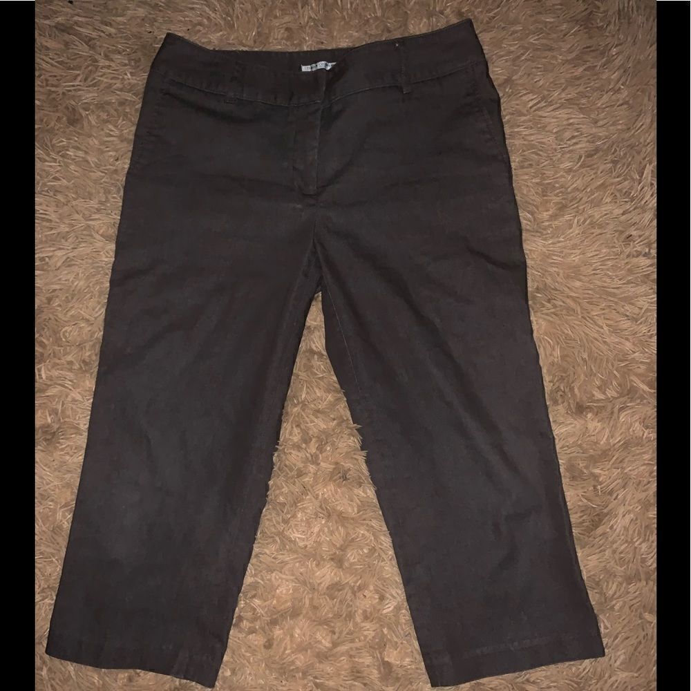 Dalia Collection Petite Women’s Capri Pants